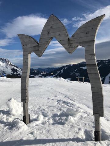 Tauernlodge Sonnblick Top 3 Mühlbach am Hochkönig Exteriér fotografie